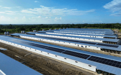 La CFE y los paneles solares: Guía completa para la interconexión y medición en tu empresa
