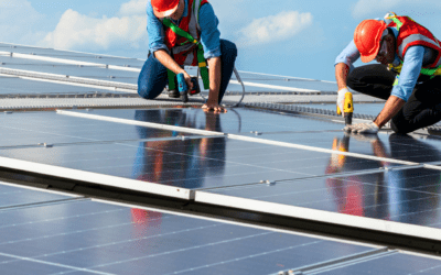 Mitos y Realidades de los Paneles Solares.