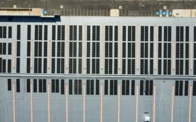 Zero Export Solar: cómo operar paneles solares sin interconexión CFE y evitar pérdidas